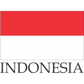 Indonesia Embroidered Flag Badge